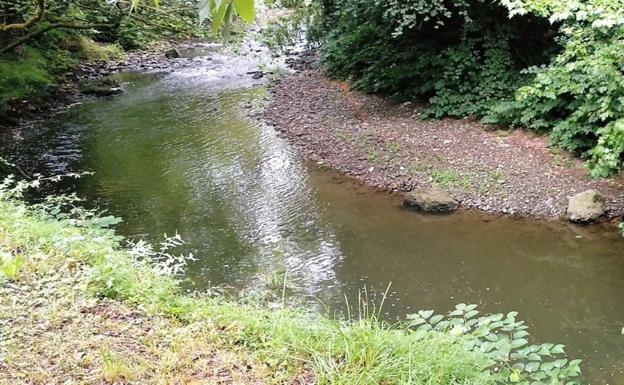 El Urola presenta un buen estado ecológico El Diario Vasco